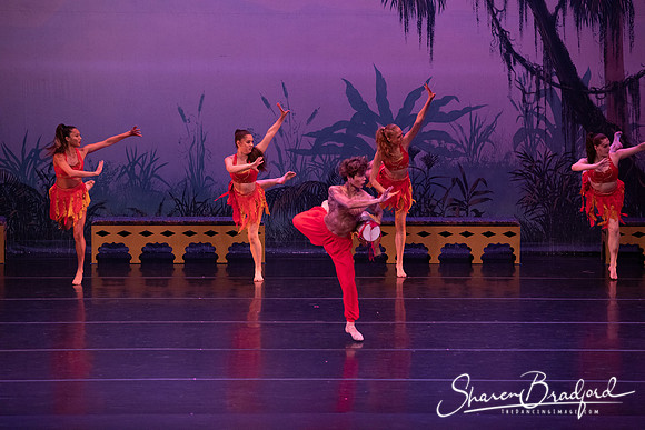 TDC La Bayadere pc Sharen Bradford-2968