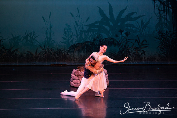 TDC La Bayadere pc Sharen Bradford-2628