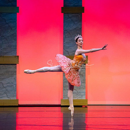 Ballet NTX Sleeping Beauty pc Sharen Bradford-0165