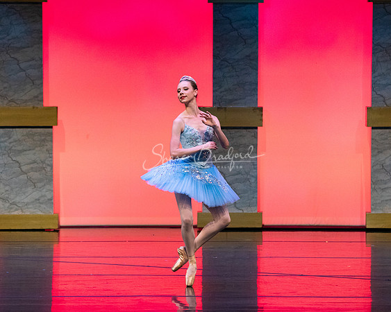 Ballet NTX Sleeping Beauty pc Sharen Bradford-0123