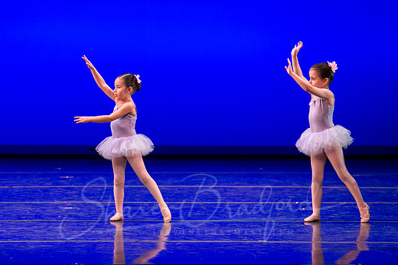 Water Lillies-0308