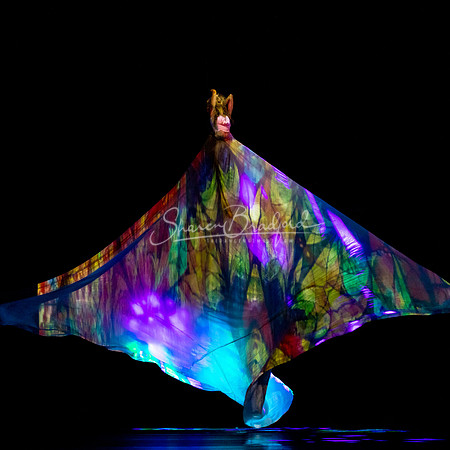 MOMIX Alice pc Sharen Bradford-1219