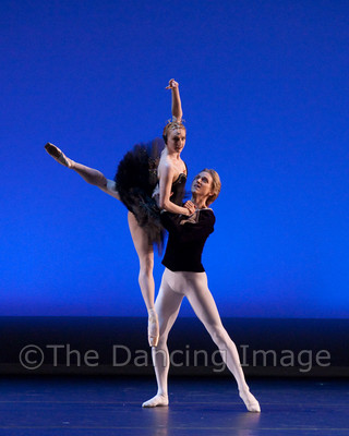 Black Swan-1115