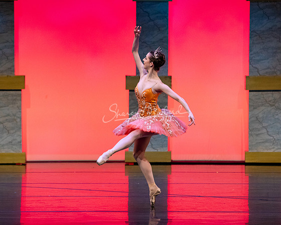 Ballet NTX Sleeping Beauty pc Sharen Bradford-0161