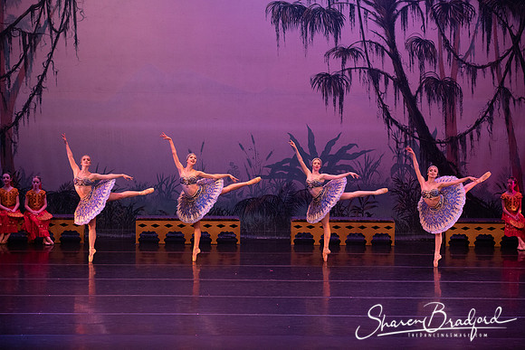 TDC La Bayadere pc Sharen Bradford-3114