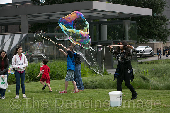 MJS_5219