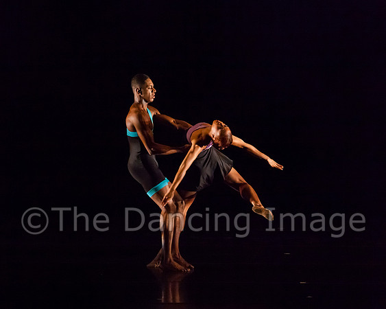 Polarity-0342