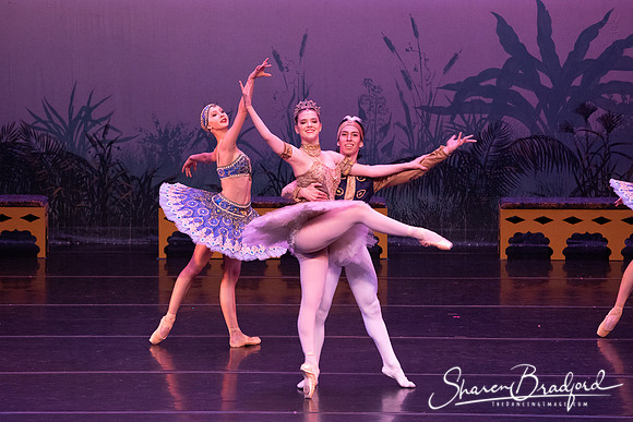 TDC La Bayadere pc Sharen Bradford-3112