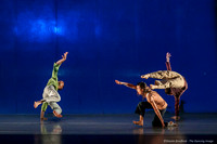 Motionhouse SCATTERED-0199