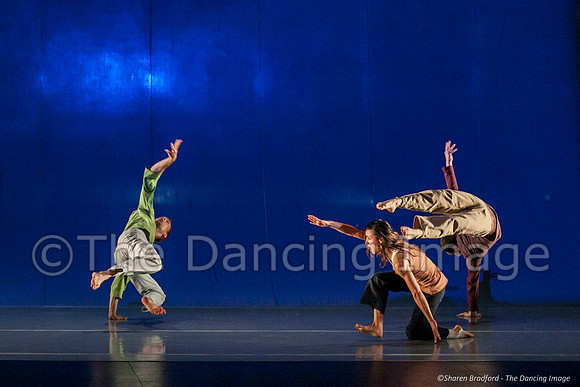 Motionhouse SCATTERED-0199
