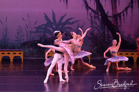 TDC La Bayadere pc Sharen Bradford-3166