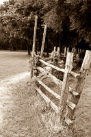 Penn Farm-0625
