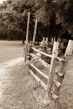Penn Farm-0625