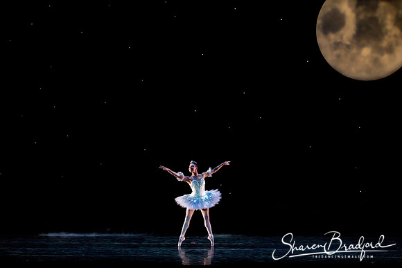 Nutcracker matinee pc Sharen Bradford-5094