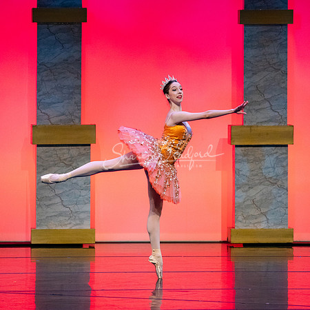 Ballet NTX Sleeping Beauty pc Sharen Bradford-0167