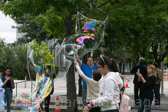 MJS_5198