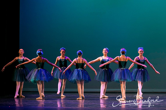 Khachaturian Waltz pc Sharen Bradford-3695