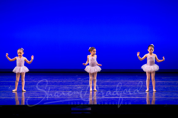 Water Lillies-0282