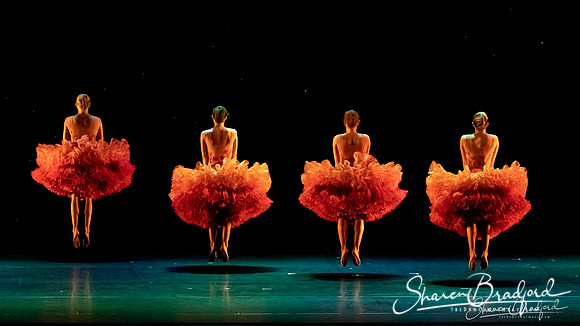 MOMIX Marigolds pc Sharen Bradford-0168