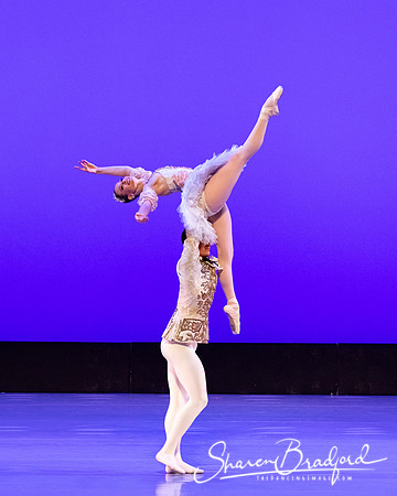 TBT Sleeping Beauty Pas pc Sharen Bradford-1424