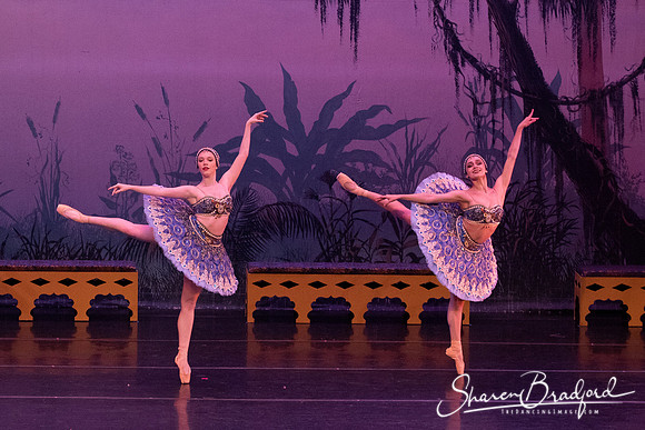 TDC La Bayadere pc Sharen Bradford-3116