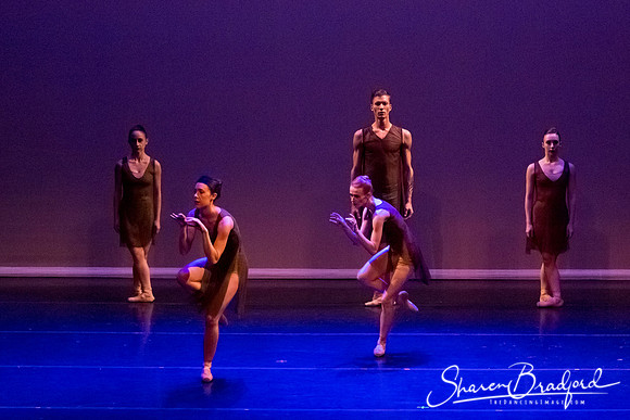 Ballet Dallas Seasons pc Sharen Bradford-1428