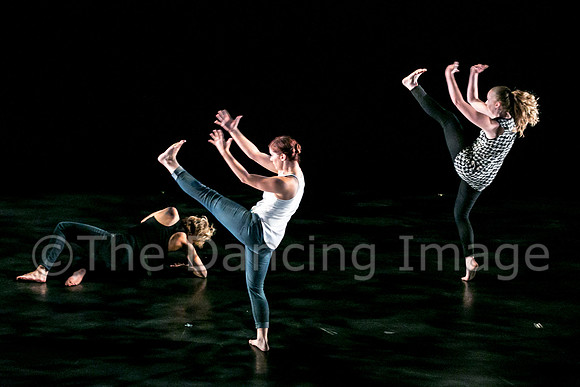 Jacksonville Dance Theatre-0246