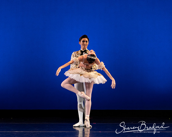 Texas Ballet Theater pc Sharen Bradford-1187