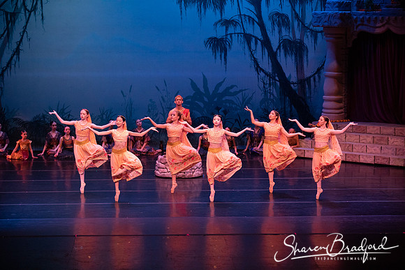 TDC La Bayadere pc Sharen Bradford-2468