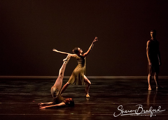 Ballet Dallas Seasons pc Sharen Bradford-1358