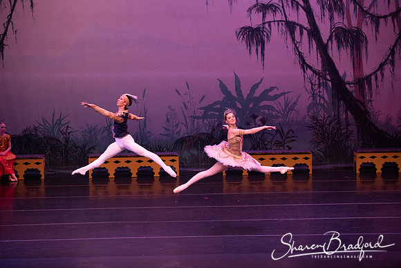 TDC La Bayadere pc Sharen Bradford-3108