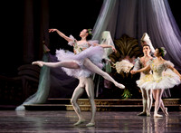 TB Sleeping Beauty Wed.-0022