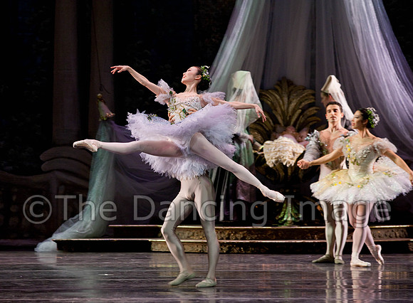 TB Sleeping Beauty Wed.-0022