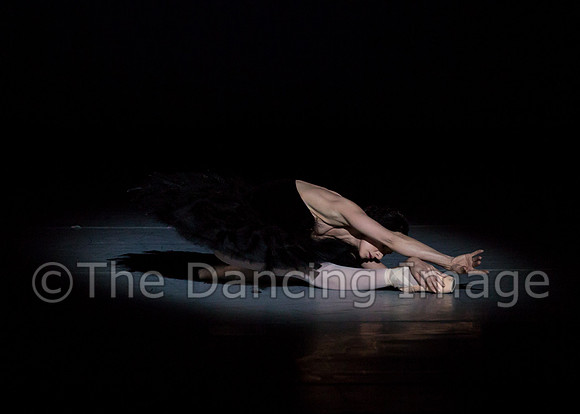 Olga Pavlova_The Dying Swan-3948