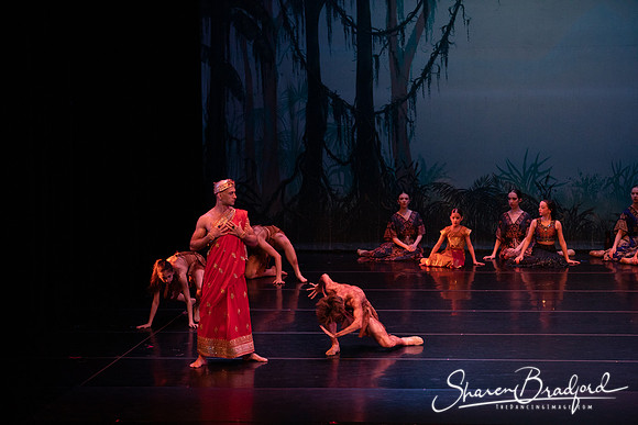 TDC La Bayadere pc Sharen Bradford-2437