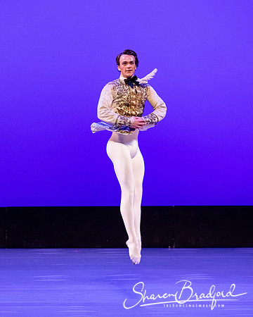 TBT Sleeping Beauty Pas pc Sharen Bradford-1489