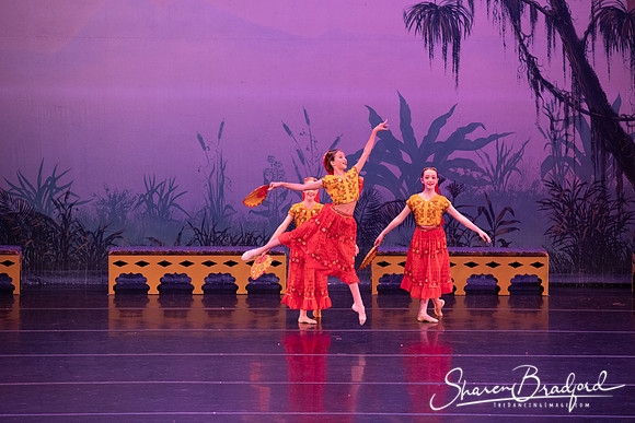 TDC La Bayadere pc Sharen Bradford-2883