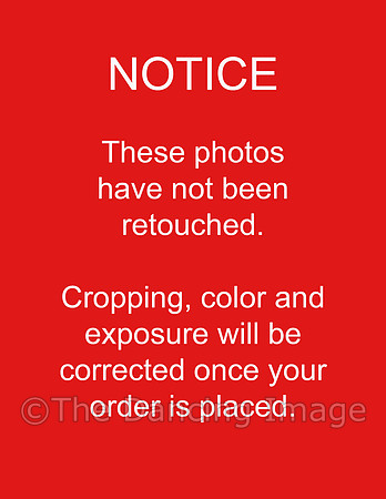 edit notice