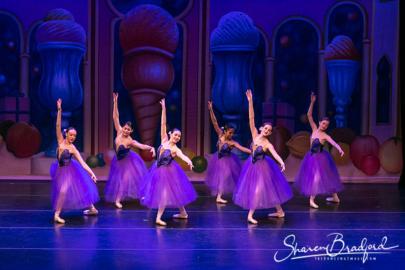 Waltz of the Flowers pc Sharen Bradford-1780