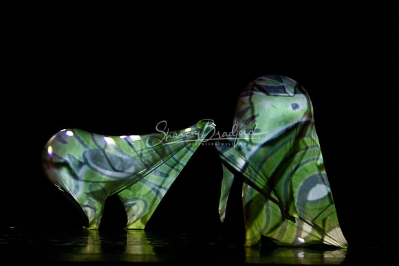 MOMIX Alice pc Sharen Bradford-1026