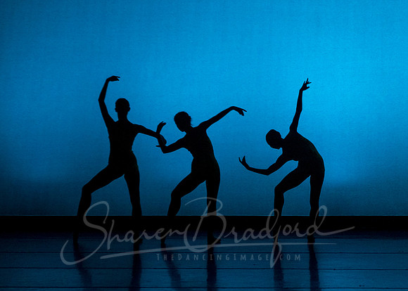 Texas Ballet Theater School pc Sharen Bradford-3651