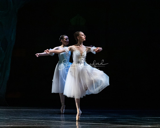 Ballet NTX Sleeping Beauty pc Sharen Bradford-1417