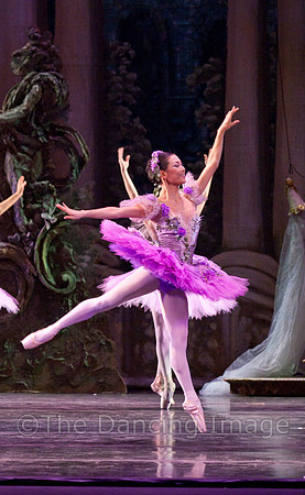 TB Sleeping Beauty Wed.-0067