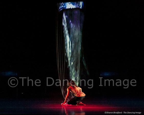 Motionhouse SCATTERED-0329