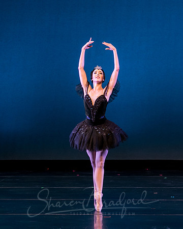 Texas Ballet Theater pc Sharen Bradford-1598
