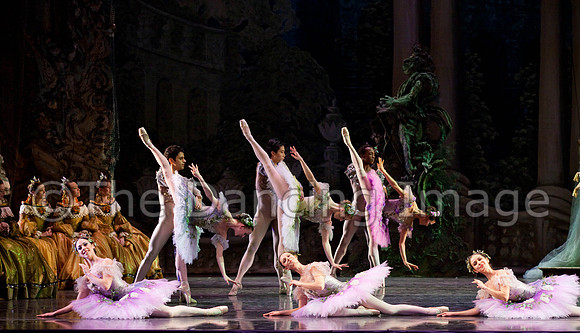 TB Sleeping Beauty Wed.-0154