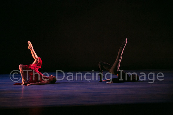 Chado Danse-2817