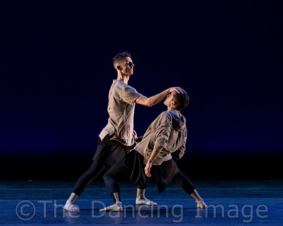 Coyotes Tip Toe-2581