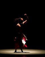 Dayton Contemporary-0124
