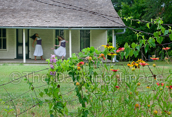 Penn Farm-0903
